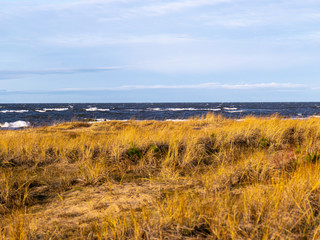 Fototapeta premium landscape with sea coast