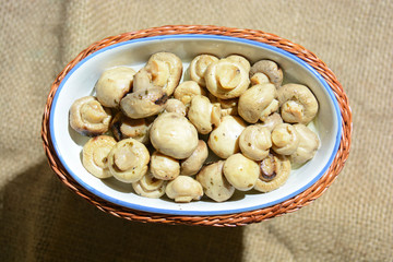 Italian appetizer