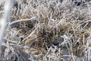 Panoramic view in winter carpathians. Borzhava ridge. Ukraine