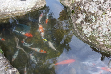 water