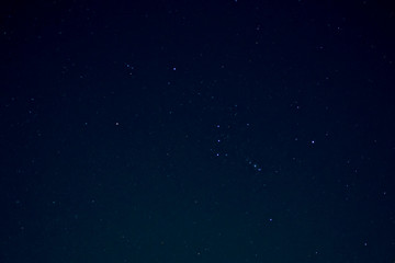 Orion constellation in southeast US sky over Florida, also showing Betelgeuse and Gemini.
