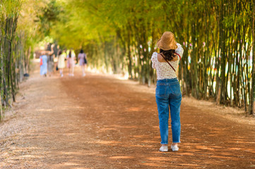 Young woman take a photo in the  bamboo tunnel