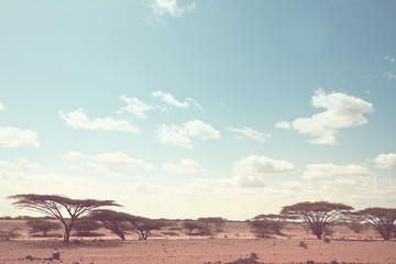 African landscapes