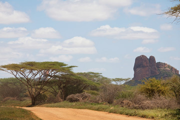 African landscapes
