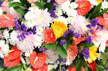 Beautiful background of bright colorful flowers closeup 