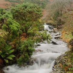 Dartmoor Near Meldon Quarry
