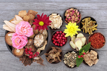 Traditional Chinese herbs and flowers used in herbal medicine on rustic wood background. Flat lay.