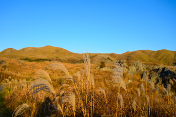 秋の平尾台【福岡県】