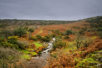 Dartmoor Near Meldon Quarry 2