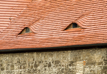 new, modern roof tiles on an old house