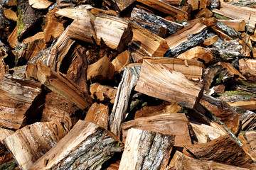 Old wicker basket for harvesting isolated on white