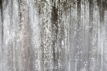 old wall texture. 