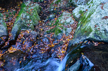 秋の渓流と落葉【福岡県】