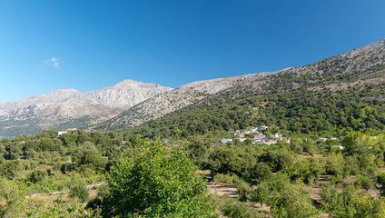 Fototapeta premium landscape in the mountains