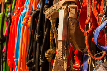 Brown horse belt hanged along different colored rope for sale at cattle market at tamilnadu, india