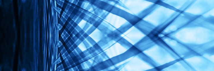 Abstract natural pattern tropical palm trees toned