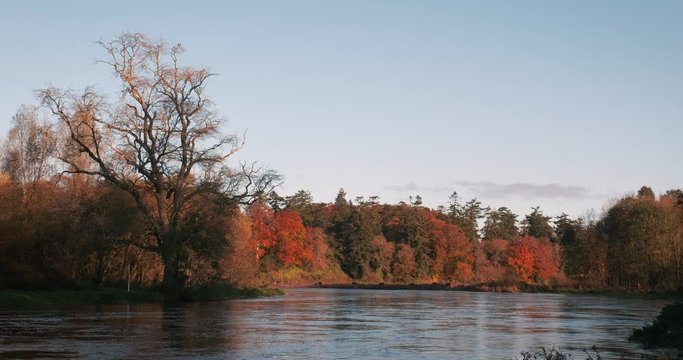 Colorful 4K video of Boyne valley, river and surroundings in bright autumn colors, Co. Meath, Ireland