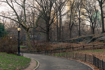 Empty Path at Central Park in New York City during Autumn