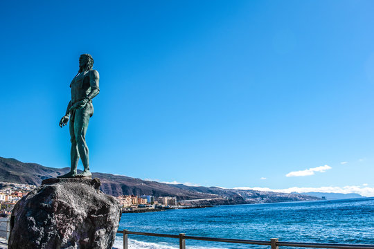 guanches canariensis