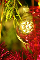 Bright and shiny decorations for Christmas and New Year hang on a green spruce.