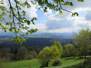 Aussicht Voralpenlandschaft Kastanientriebe Hohenpeißenberg