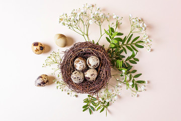 Quail eggs are in decorative nest and next to it. Around branch with green leaves and white small flowers. Light pastel background. Concept of spring, easter. Minimalism, flat lay, copyspace, top view