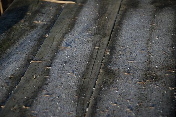 chaotic kaleidoscope of plants and seeds on the background of wooden boards