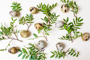 Quail eggs and branches with green leaves lie on a light pastel background. The concept of spring, Easter. Minimalism, flat lay, copyspace, top view. Easter banner.