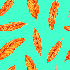 Obraz premium Pattern of orange feathers on a bright background. Background color - electric blue. Feathers are drawn by hand with markers and liners.
