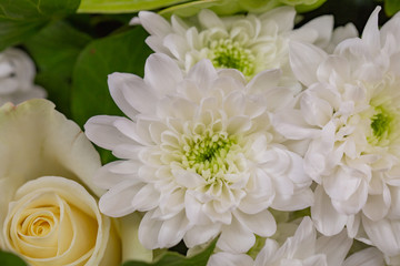 MWB-Blume_01