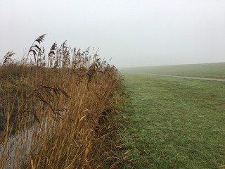 A Dyke in the Mist on a foggy day in East Frisia, in the North of Germany near Pilsum. Northsea coast