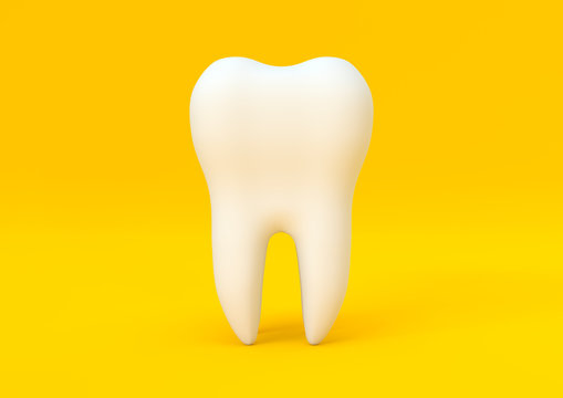 Dental model of premolar tooth on yellow background. Concept of dental examination teeth, dental health and hygiene. 3d rendering illustration
