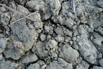 astratto 1