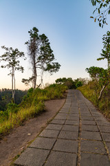 Empty Campuhan Ridge Walk sacred trail near Ubud at morning.