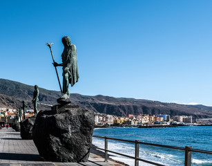 guanches canariensis