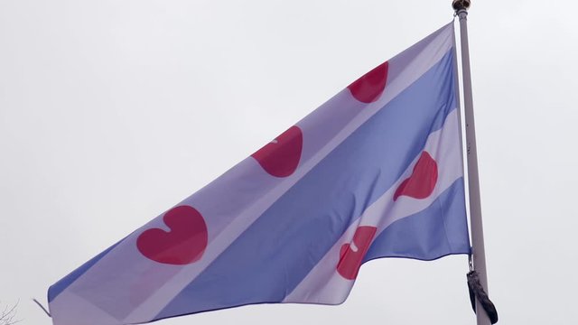 The flag of Friesland blowing on a cold grey day