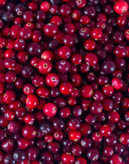 cranberries