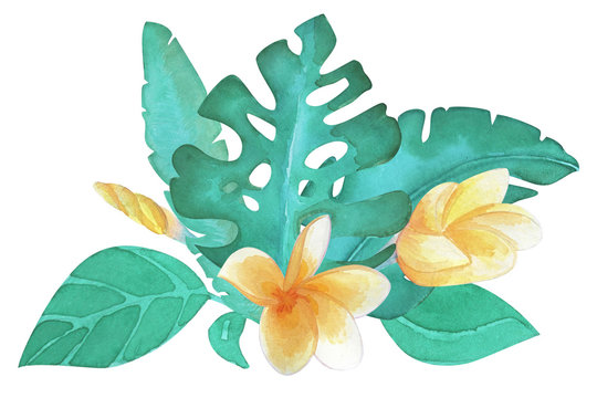 Hand drawn watercolor tropical flower and leaves bouquet. Set of tropical plants, palm leaves, banana, liana, monstera, fern, plumeria, green leaves, jungle tree.