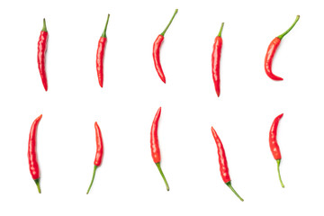 Red hot chili pepper isolated