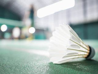 The shuttlecock is on the green badminton court floor. There is motion blur. The highlight is the...