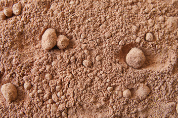 Fototapeta na wymiar Background of a dry powder cocoa brown