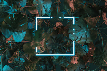 3d rendering of white square neon light covered with monstera plants. Flat lay of minimal tropical style concept