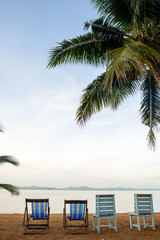 Coconut trees and sea, beautiful natural scenery