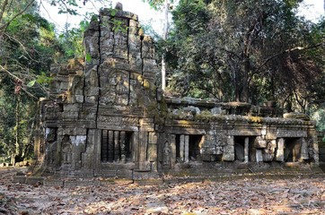 Ein Highlight im UNESCO-Welterbe Angkor: Ta Prohm