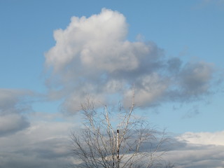 Obraz premium blue sky and clouds