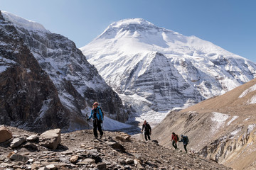 Trekking group at Chonbarden Glacier, Dhaulagiri 1, Dhaulagiri Circuit Trek, Himalaya, Nepal