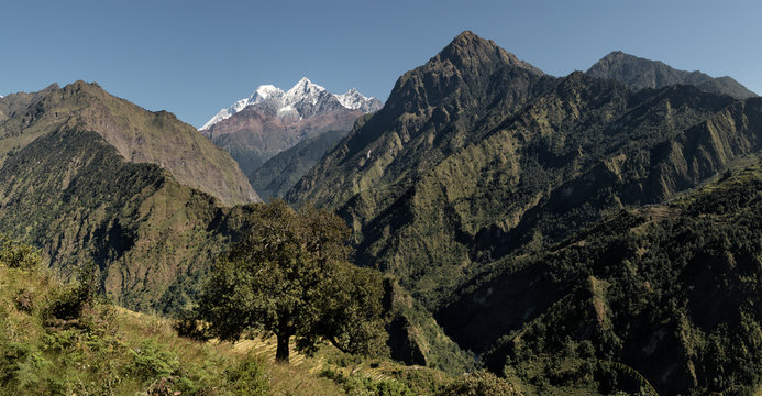 Dhaulagiri, Dhaulagiri Circuit Trek, Himalaya, Nepal