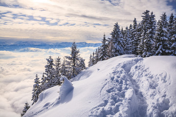 Obraz premium Pendling point on the Schneeberg mountain in Alps near Thiersee at Kufstein in Austria, Europe.