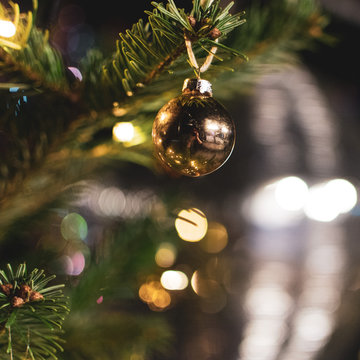 Weihnachtskugel am Zweig eines Weihnachtsbaumes