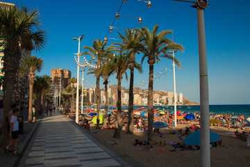Summer from Benidorm